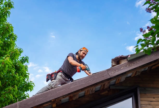 Best Skylight Installation and Repair  in Brooksi, DE