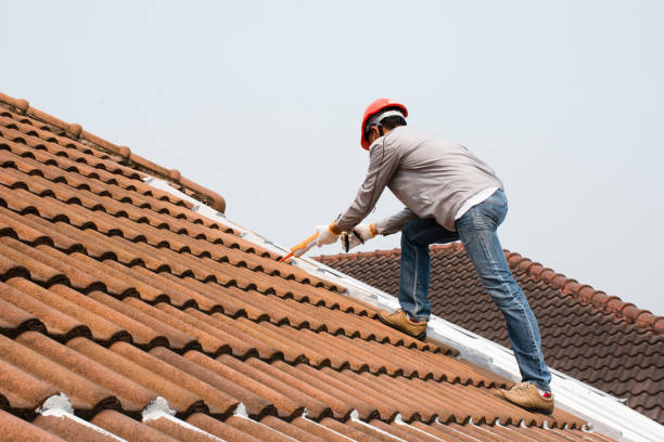 Best Roof Moss and Algae Removal  in Brooksi, DE