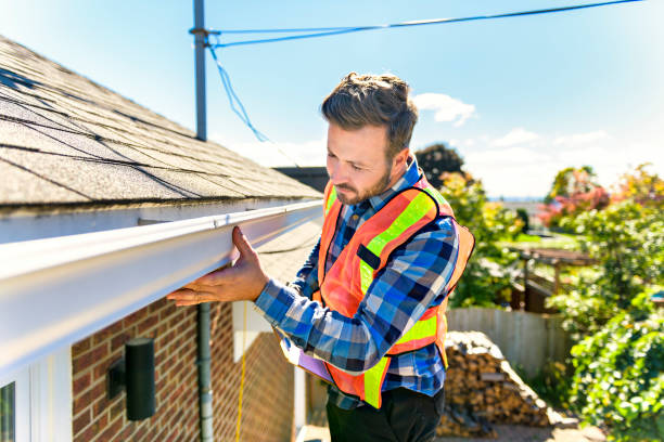 Best Skylight Installation and Repair  in Brooksi, DE